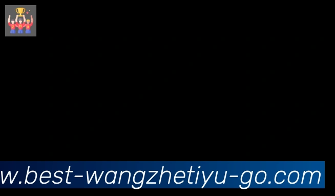 王者体育直播合作伙伴